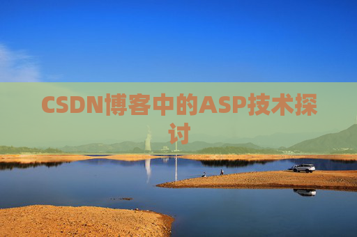 CSDN博客中的ASP技术探讨